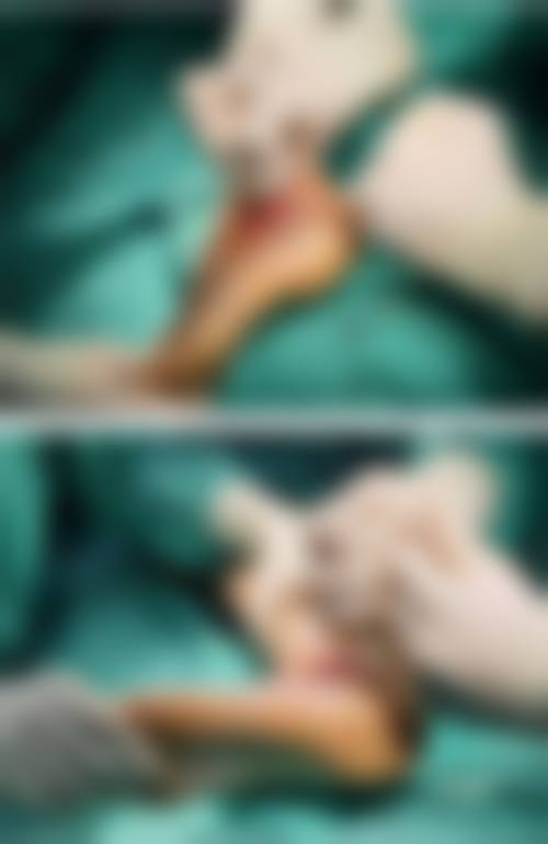 预约优惠活动