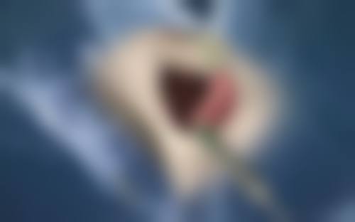 具有影响力资质与连锁品牌实力保护