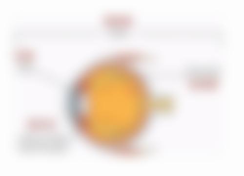 常见问题解答FAQ