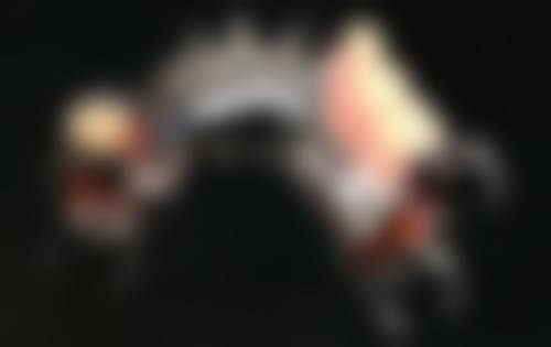 特色项目与市场参考价格一览