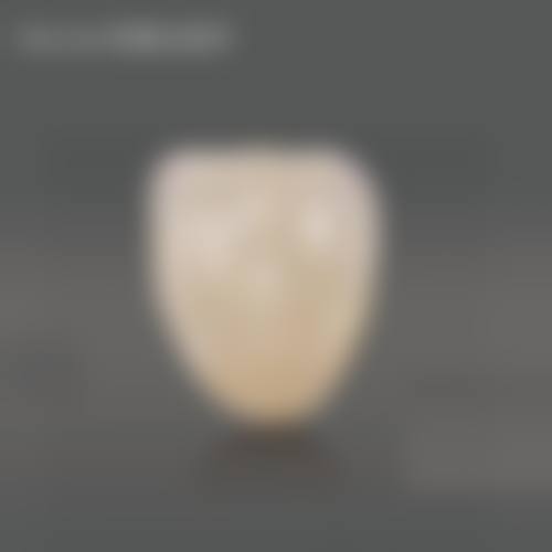 数字化设备与特色项目优势
