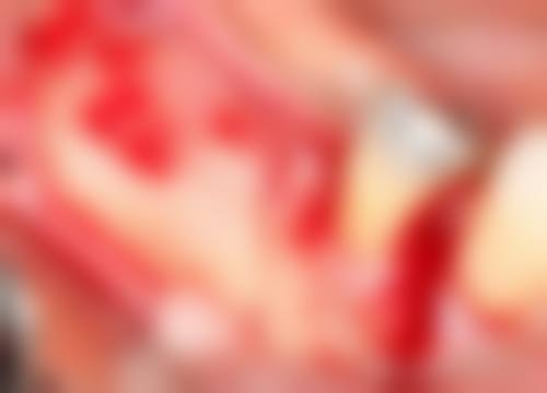 医生资质介绍