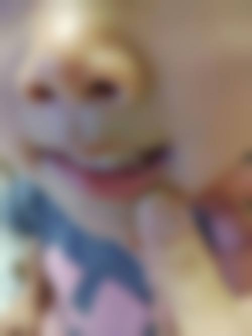 便捷预约与服务流程