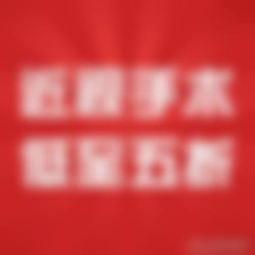 热门项目价格与优惠详情
