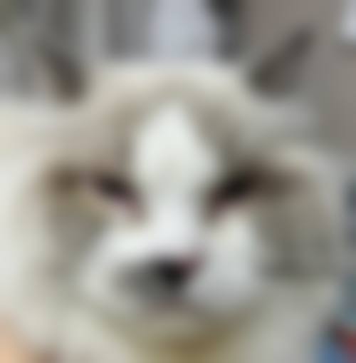 资质合规与医疗实力解析