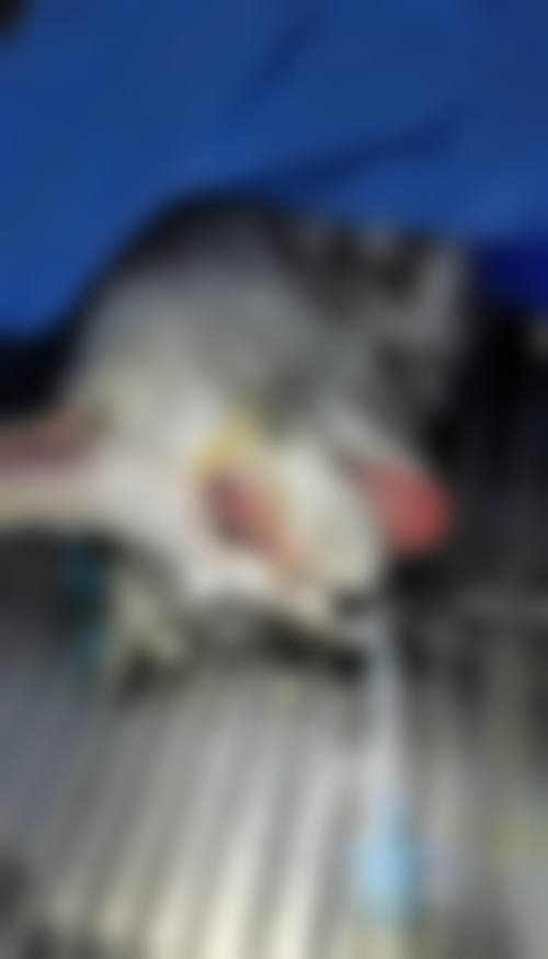 常见问题解答