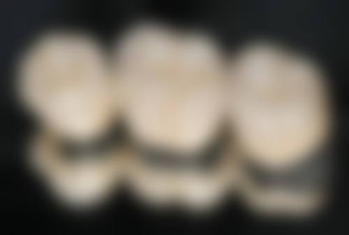 特色项目与技术优势