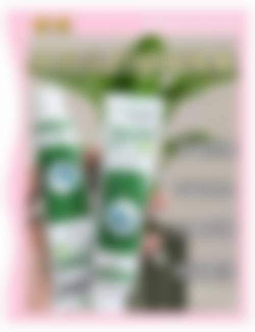 机构资质与连锁实力解析